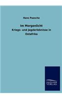 Im Morgenlicht