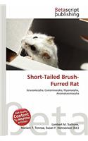 Short-Tailed Brush-Furred Rat