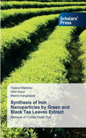 Synthesis of Iron Nanoparticles by Green and Black Tea Leaves Extract
