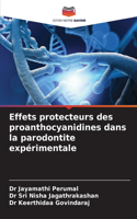 Effets protecteurs des proanthocyanidines dans la parodontite expérimentale