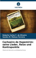 Cachoeiro de Itapemirim