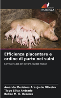 Efficienza placentare e ordine di parto nei suini