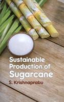 Sustainable Production of Sugarcane