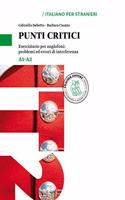 Eserciziari per anglofoni: problemi ed errori di interferenza: Punti critici