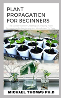 Plant Propagation for Beginners