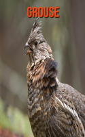 Grouse: Fun Facts & Cool Pictures