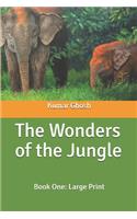 The Wonders of the Jungle, Book One: Large Print