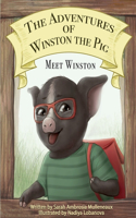 Adventures of Winston the pig