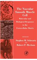 The Vascular Smooth Muscle Cell