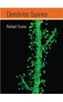 Dendritic Spines