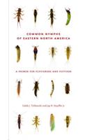 Common Nymphs of Eastern North America