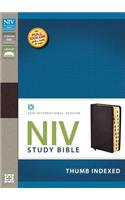Study Bible-NIV: New International Version, Burgundy, Bonded Leather