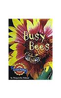 Busy Bees: Level 2.4.2 on LVL(Houghton Mifflin Reading Leveled Readers)