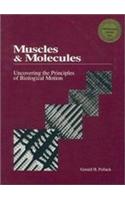 Muscles & Molecules