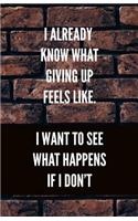 I Already Know What Giving Up Feels Like. I Want To See What Happens If I Don't