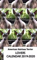 American Hairless Terrier Lovers Calendar 2019-2020