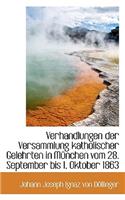 Verhandlungen Der Versammlung Katholischer Gelehrten in Munchen Vom 28. September Bis 1. Oktober 186