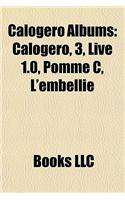 Calogero Albums: Calogero, 3, Live 1.0, Pomme C, L'Embellie(English)