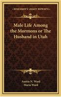 Male Life Among the Mormons or the Husband in Utah