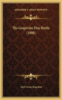 The Grapevine Flea-Beetle (1898)