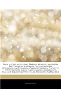 Articles on Fern Species, Including: Salvinia Molesta, Asplenium Platyneuron, Adiantum Capillus-Veneris, Ophioglossum Vulgatum, Cyathea Dealbata, Pleo