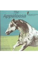 The Appaloosa