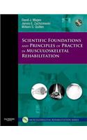 Scientific Foundations and Principles of Practice in Musculoskeletal Rehabilitation