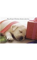 Puppy Dreams Holiday Cards