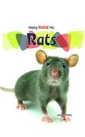 Rats