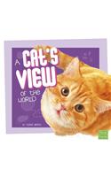 A Cat's View of the World