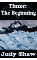 Tinzor