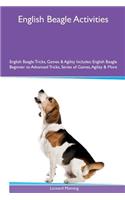 English Beagle Activities English Beagle Tricks, Games & Agility. Includes