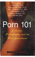 Porn 101