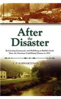 After the Disaster