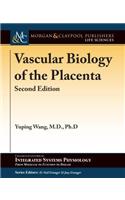 Vascular Biology of the Placenta