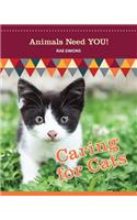 Caring for Cats