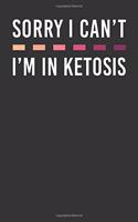 Sorry I Can't I'm In Ketosis: Food Log Journal (6x9 Inches) with 120 Pages