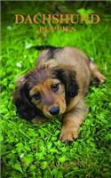 Dachshund Puppies Weekly 5 X 8 Planner 2019: 12 Month Calendar
