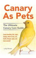 Canary As Pets