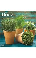 Herbs 2021 Square