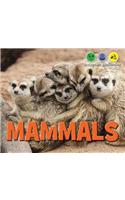 Mammals