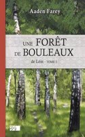 Une Foret de Bouleaux