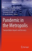 Pandemic in the Metropolis