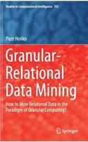 Granular-Relational Data Mining