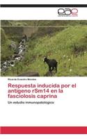 Respuesta inducida por el antígeno rSm14 en la fasciolosis caprina