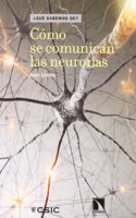 Como se comunican las neuronas