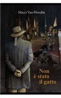 Non è stato il gatto