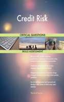 Credit Risk Critical Questions Skills Assessment