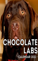 Chocolate Labs Calendar 2021