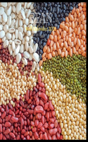 Bean Wall Calendar 2021